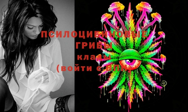 скорость Абаза