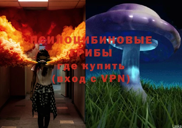 скорость Абаза